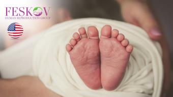 rewiews H****** und P********